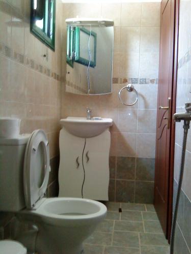 a bathroom with a toilet and a sink and a mirror at Βίλλα Αντρέας in Karavomylos