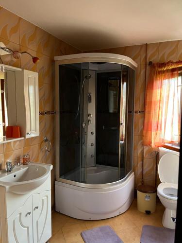 a bathroom with a shower and a sink and a toilet at Cazare Sandy in Novaci-Străini