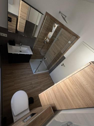 a bathroom with a sink and a toilet in a room at Casa del Mondo 1 in Sankt Aldegund