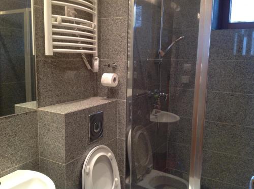 La salle de bains est pourvue de toilettes et d'une douche en verre. dans l'établissement Lake House, à Kościan