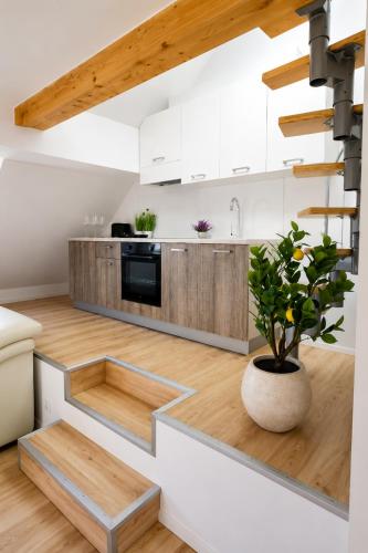 a kitchen with white cabinets and a potted plant at Valora Central Apartment in Vrhnika