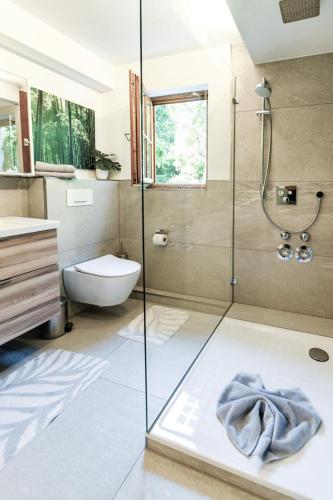 a bathroom with a shower and a toilet and a sink at Ferienwohnung Alpenherz in Obermaiselstein