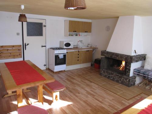 A kitchen or kitchenette at Privat Monika