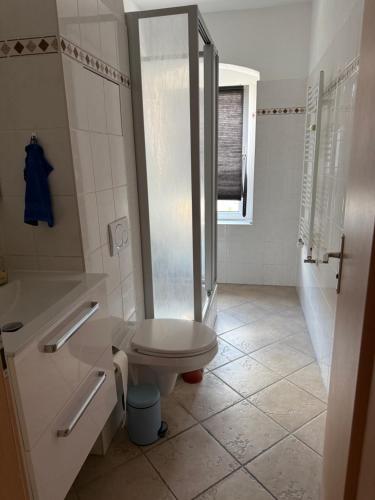 a white bathroom with a shower and a toilet at Cozy Room for 2 people in Dresden