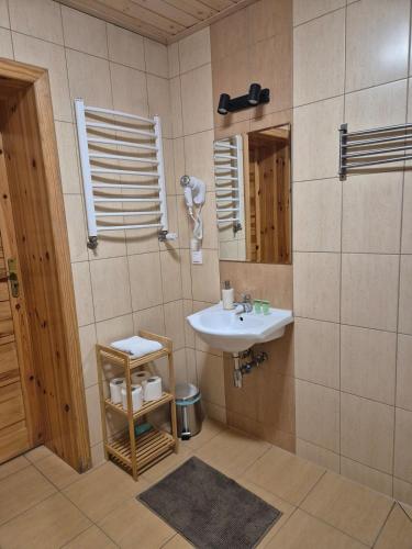 a bathroom with a sink and a mirror at Apartment Pod Modrzewiem in Powidz