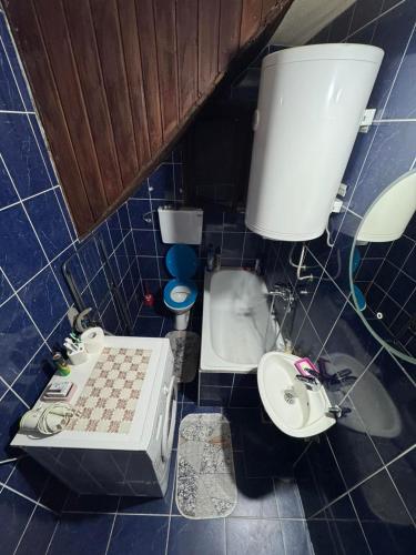a small bathroom with a toilet and a sink at Kuća za odmor Karaklić in Donje Karaklije