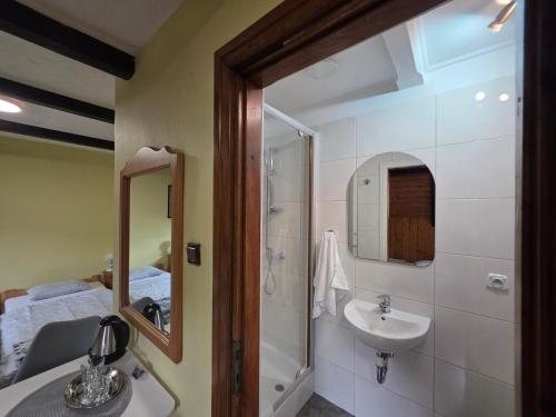 a bathroom with a sink and a shower with a mirror at Zachęta in Sokolec