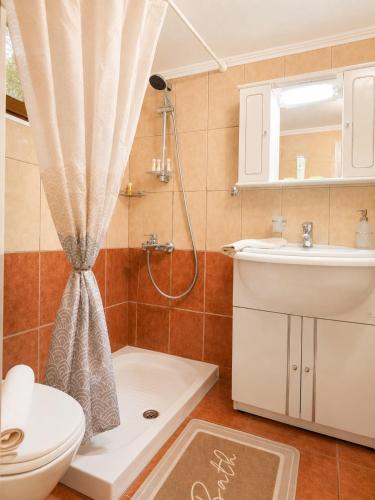 a bathroom with a shower and a toilet and a sink at Daisy House Golden Beach Area in Potamiá