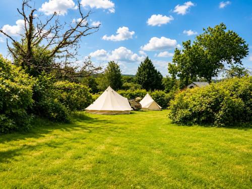 a group of tents in a grass field at Glamping Privé 2 tentes pour vous sur le mont à Tilff in Esneux