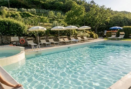 a swimming pool with chairs and umbrellas at Agriturismo Podere La Casaccia in Poppi