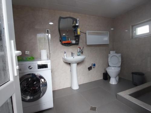a bathroom with a sink and a washing machine at Guesthouse Leno in Tsaldashi