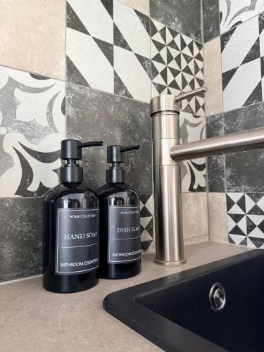 two bottles of hand soap sitting next to a sink at Luxury Apartment Vorstetten Modern Zentral in Vörstetten