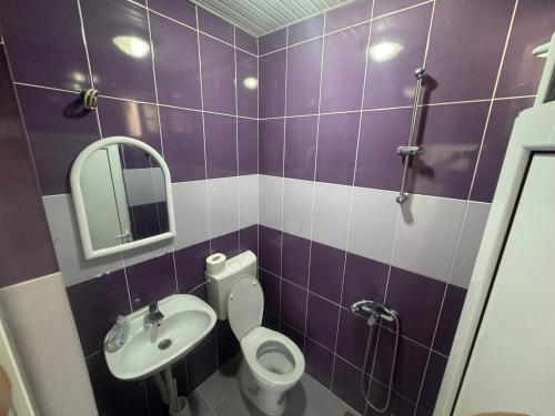 a purple and white bathroom with a toilet and sink at Apartmani Konak in Star Dojran