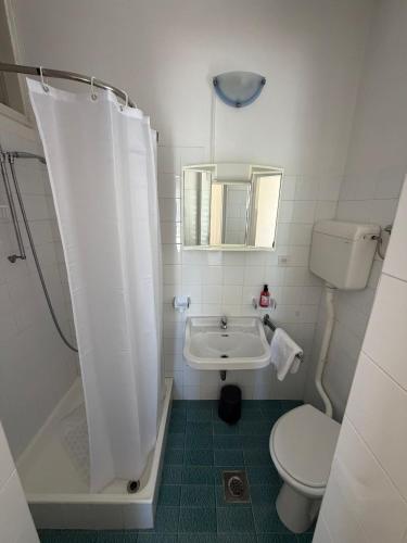 a bathroom with a toilet and a shower and a sink at Studio Apartmani ISRA in Palit