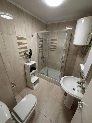 a bathroom with a shower and a toilet and a sink at Casa Duea Sorores in Osredina