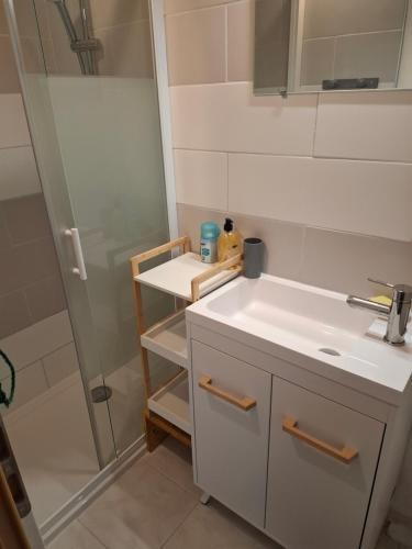 a bathroom with a sink and a shower at la maison bleue in Marcilly-Ogny