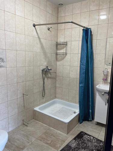 a bathroom with a shower with a tub and a toilet at У Лариси in Solochyn