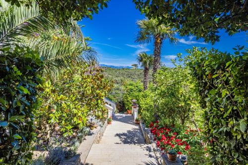 a path through a garden with flowers and a palm tree at Apartments Petra - 100 m from the Beach in Kampor