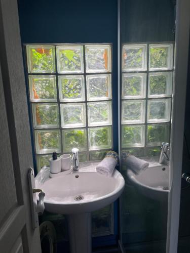 a bathroom with a sink and a window at L'Escapade in Gonneville-la-Mallet