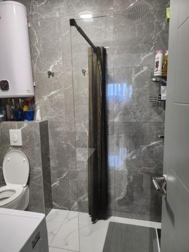 a bathroom with a shower with a toilet at DD Apartmani in Sutorina