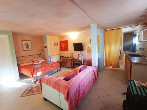 a bedroom with a bed and a television in it at La Sorgente Apartment with private pool in Calice Ligure