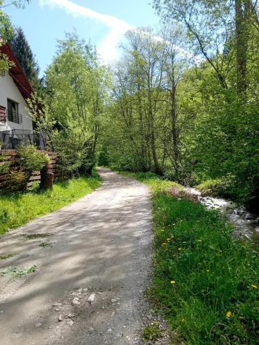 a dirt road next to a house and trees at Casa Maia Dambovicioara in Dâmbovicioara