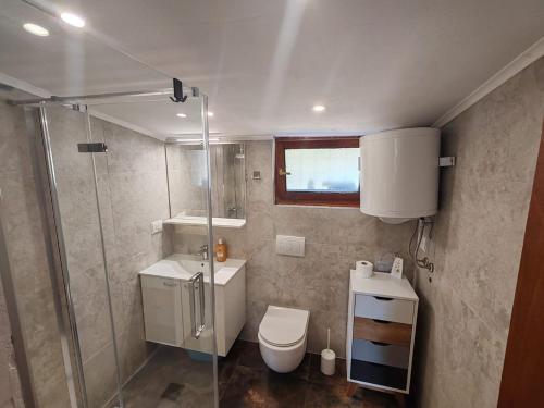 a bathroom with a shower and a toilet and a sink at JOSIP Punta Kriza in Nerezine