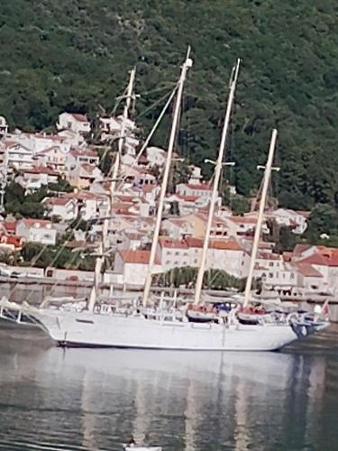 two boats are docked in the water near a city at Apartment Bay View in Kotor