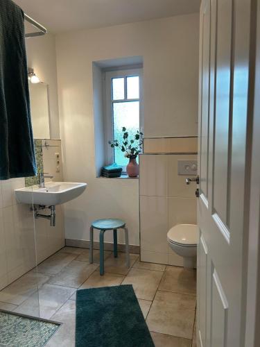 a bathroom with a sink and a toilet and a window at Auszeit in Hasselberg