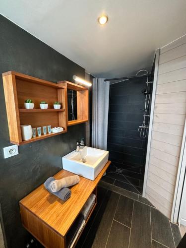 a bathroom with a sink and a shower at Maison bord de Seine à 20 min de Paris in Villennes-sur-Seine