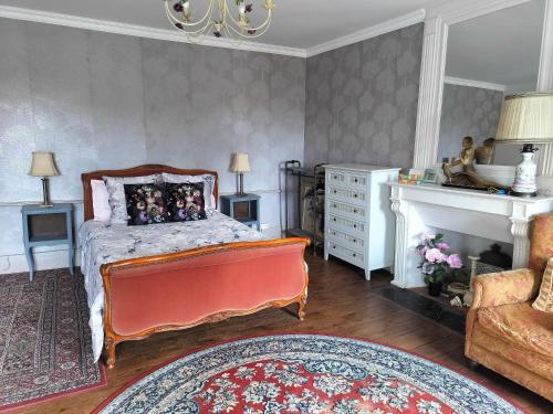 a bedroom with a bed and a dresser and a fireplace at Fleur de Lys - Free wi-fi & parking in La Haye