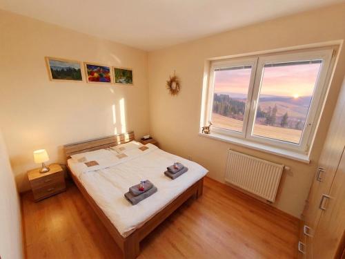a bedroom with a bed and a large window at Apartmán Tymián in Vyšné Ružbachy