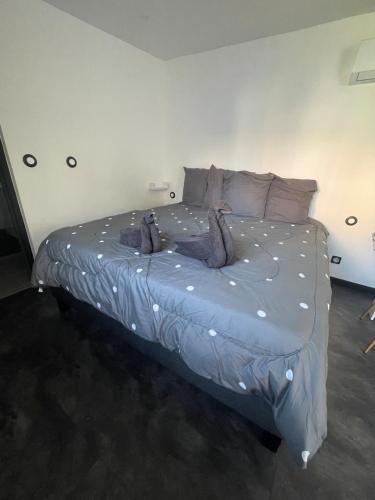 le studio sympathique à marseille