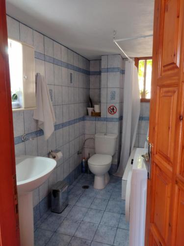 a bathroom with a white toilet and a sink at IthakiHouse II in Vathi