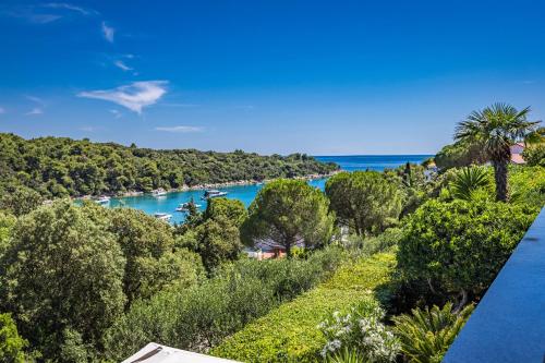 a view of a river with boats in the water at Apartments Petra - 100 m from the Beach in Kampor