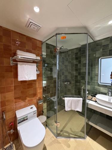 a bathroom with a shower and a toilet and a sink at Classy Central Hotel in Hanoi