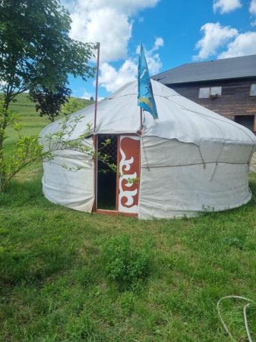 ein weißes Zelt mit einem Schild im Gras in der Unterkunft Mongol champing in Cotormani