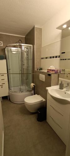 a bathroom with a shower and a toilet and a sink at Stilvolle Wohnung in Waldbrunn in Waldbrunn