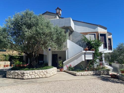 Villa Ana, Palit