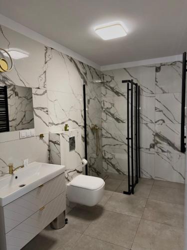 a bathroom with a toilet and a sink and a shower at Stella APART Resort & SPA in Władysławowo