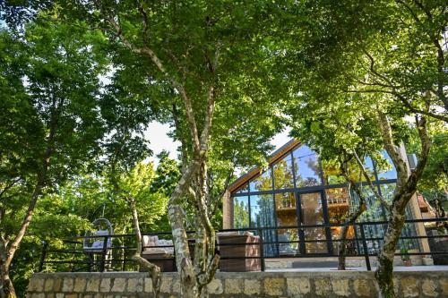 a glass house in the woods with trees at Verde Motsameta in Motsameta