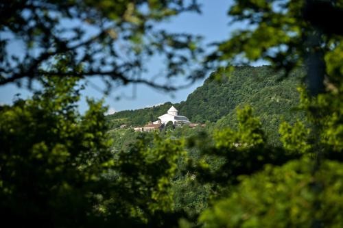 a house on top of a mountain with trees at Verde Motsameta in Motsameta