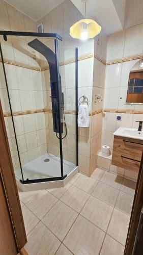 a bathroom with a shower with a glass door at Płock City Center Apartment in Płock