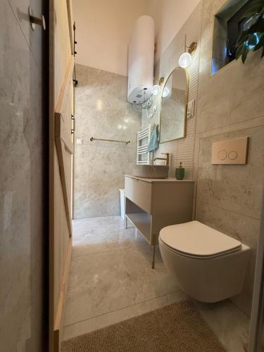 a bathroom with a toilet and a sink at Las Się Żyje in Lutowiska