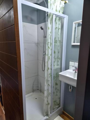a bathroom with a shower and a sink at Stil Karoo in Montagu