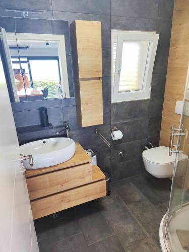a bathroom with a sink and a toilet and a mirror at Apartman Fjaka in Petrcane