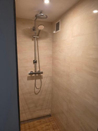a shower with a shower head in a bathroom at Krokusowa Przystań-SPA,Restauracja i Noclegi w Górach Sowich in Rzeczka