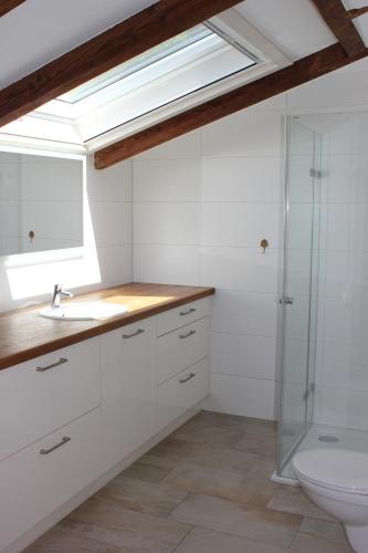 a bathroom with a toilet and a sink and a shower at Erholung im Grünen in Weissach