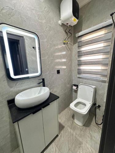a bathroom with a sink and a toilet in it at SKYBUILT APARTMENTs in Abuja