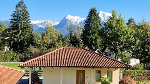 a house with a roof with mountains in the background at Haus Leblhuber in Windischgarsten